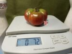 Daniel Burson Tomato
