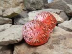Daniel Burson Tomato Black Tomatoes