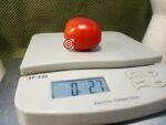 De Barao Tomato Red Tomatoes