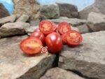 De Barao Tomato Seeds