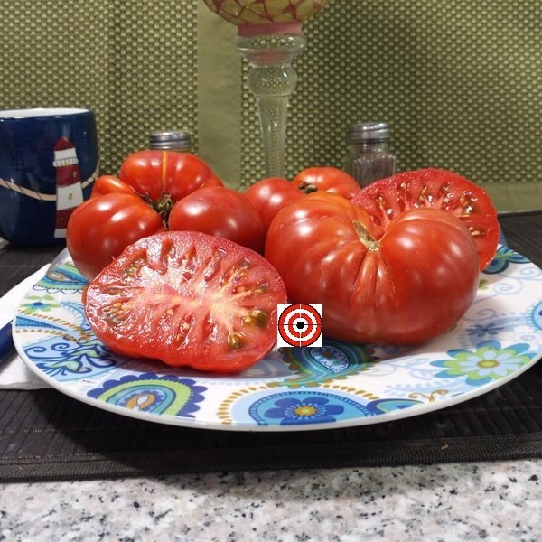 Dr Lyle Tomato Slicing Tomato
