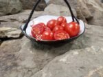 Durmitor Tomato