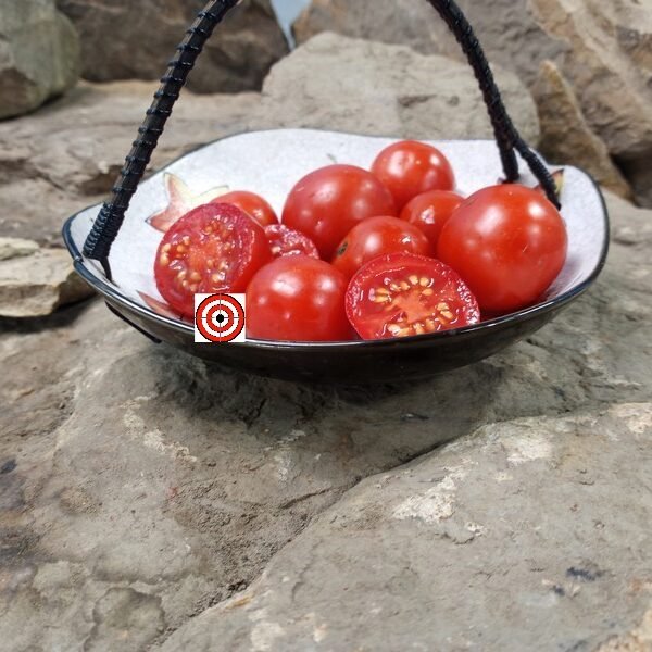 Durmitor Tomato