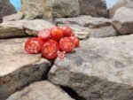 Durmitor Tomato Salad Tomato