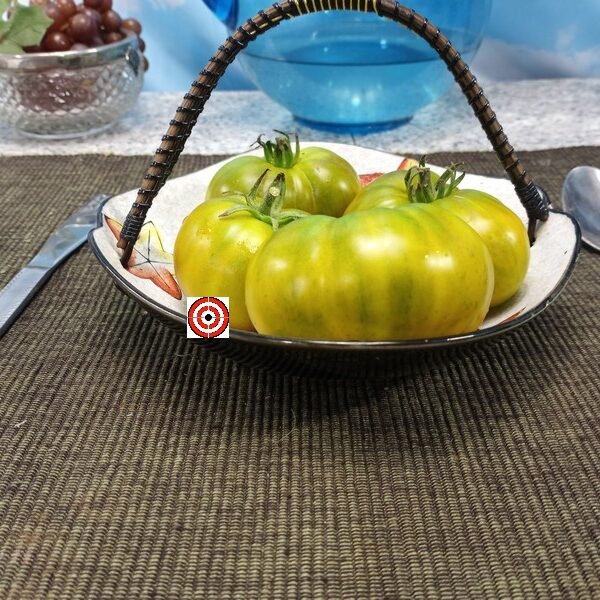 Dwarf Amy's Ohio Tomato