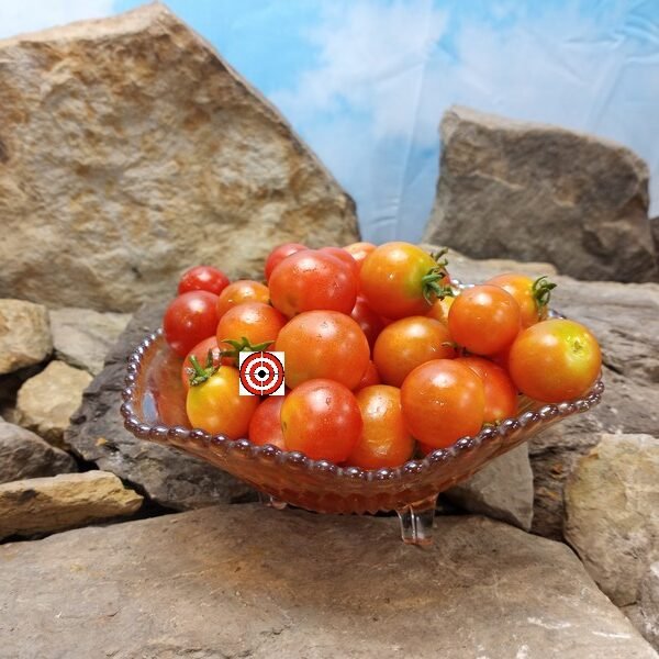 Dwarf Birdie Rouge Micro Dwarf Tomato Seeds