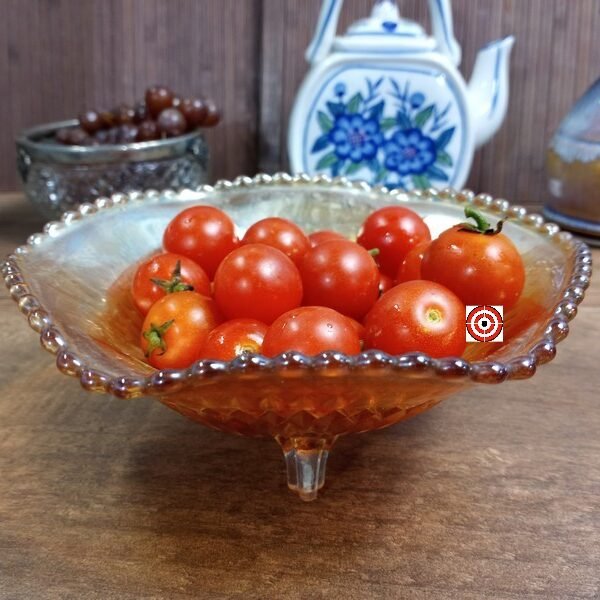 Dwarf Bonsai Micro Tomato