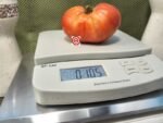 Dwarf Buddy's Heart Tomato - Image 6