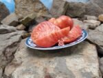 Dwarf Buddy's Heart Tomato - Image 5