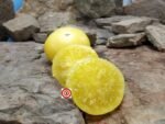 Dwarf CC Mcgee Tomato Seeds