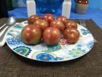 Dwarf Cherokee Tiger Black Tomato