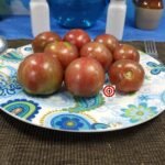 Dwarf Cherokee Tiger Black Tomato