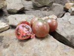 Dwarf Cherokee Tiger Black Tomato Seeds