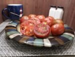 Dwarf Groovy Tunes Tomato