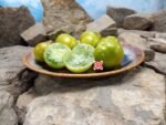 Dwarf Lime Green Salad Tomato