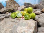 Dwarf Lime Green Salad Tomato Seeds