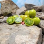 Dwarf Lime Green Salad Tomato Seeds