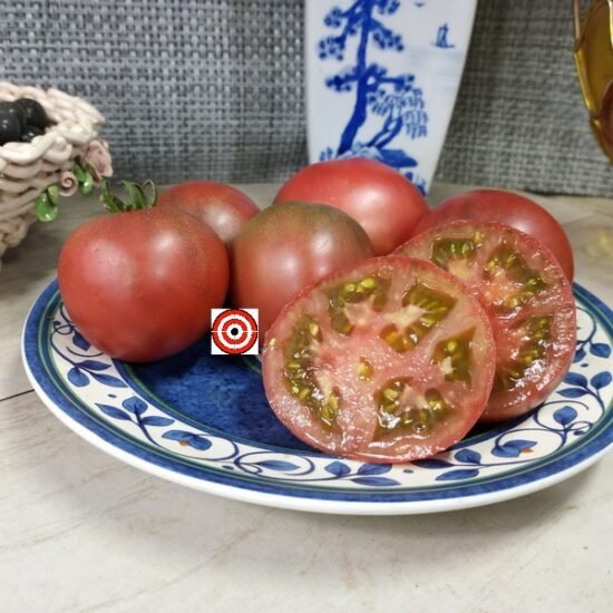 Dwarf Mary's Cherry Tomato