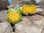 Dwarf Parfait Tomato - Image 3