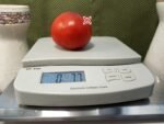 Dwarf Red House Free Standing Tomato Red Tomato