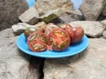 Dwarf Sandy's Stripes Tomato Seeds