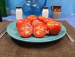 Dwarf Sarah's Red Tomato