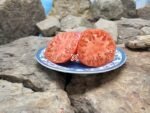 Dwarf Snakebite Tomato Seeds