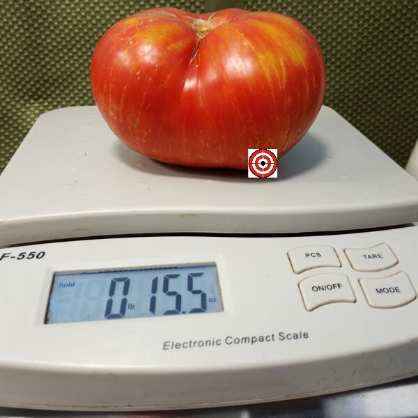 Speckled Heart Dwarf Tomato