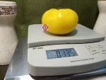 Dwarf Summer Sunrise Tomato