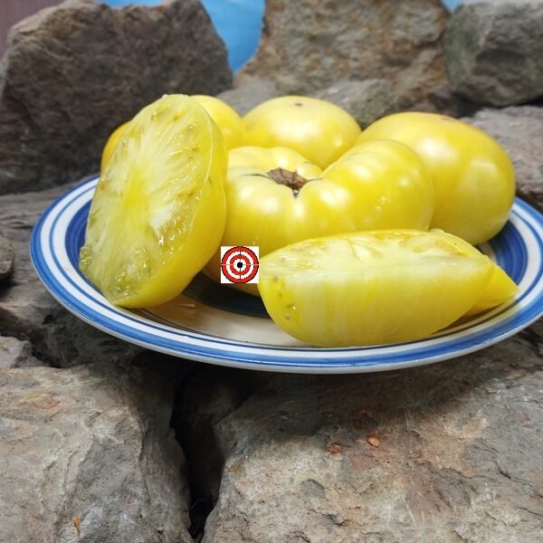 Dwarf Summer Sunrise Tomato Seeds