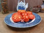 Dwarf Utyonok Tomato Seeds