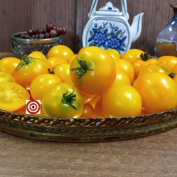 Dwarf Yantarnyi Tomato