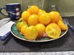 Dwarf Yantarnyi Tomato Seeds
