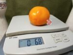 Dynne Tomato Beefsteak Tomato.