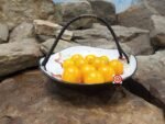 Egg Yolk Tomato Seeds