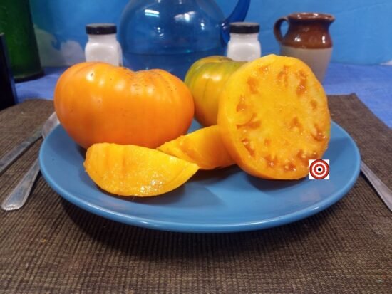 Flat Headed Monster Orange Tomato