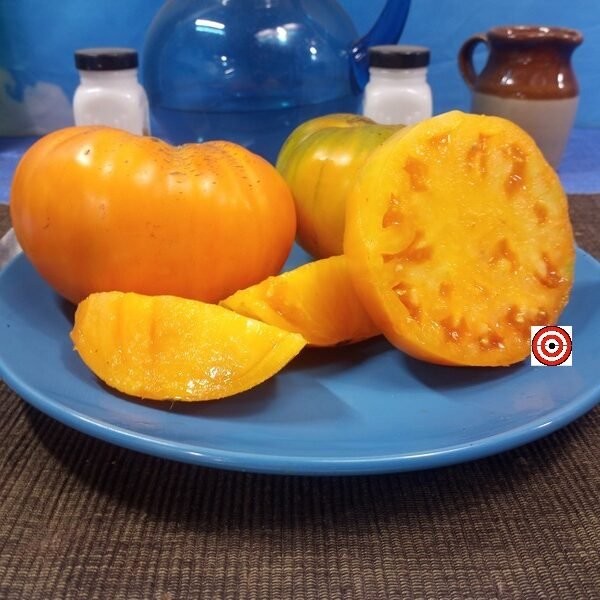 Flat Headed Monster Orange Tomato