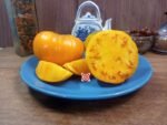 Flat Headed Monster Orange Tomato Seeds