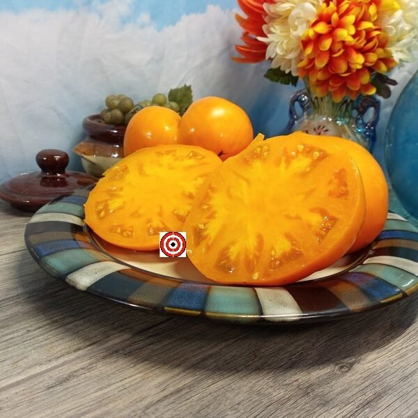 Gary Ibsen's Gold PL Tomato