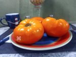 Gary Ibsen's Gold PL Tomato Sandwich Tomatoes