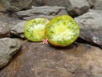 Green Mustang Tomato Heirloom Tomato