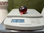 H34 Rot Julie Coer Tomato - Image 2