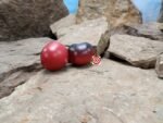 H34 Rot Julie Coer Tomato - Image 3