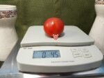 Hellfrucht Tomato Slicing Tomato