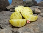 Idaho Gem Dwarf Tomato Seeds