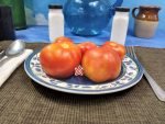 Iditarod Red Dwarf Tomato
