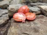 Iraqi Heart Tomato Elongated Tomato