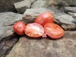 Iraqi Heart Tomato Red Tomato