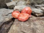 Iraqi Heart Tomato Seeds