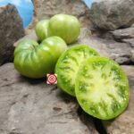 Jackass Green Dwarf Tomato